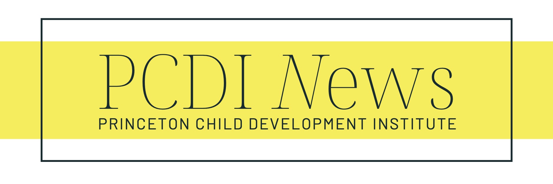 PCDI Newsletter Logo